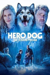 ดูหนัง Against the Wild (2021) The Journey Home (Hero Dog: The Journey Home)