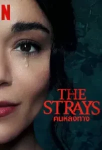 ดูหนัง คนหลงทาง ( The Strays 2023 )