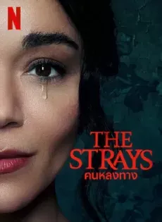 ดูหนัง คนหลงทาง ( The Strays 2023 )